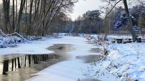 Zimowy Krajobraz Rzeka Zamarznita Pola Lasy Okolicach Wlodawy Pokrytej Duo — Foto de Stock