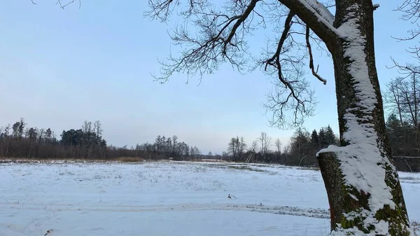 Zimowy Krajobraz Rzeka Zamarznita Pola Lasy Okolicach Wlodawy Pokrytej Duo — Foto de Stock
