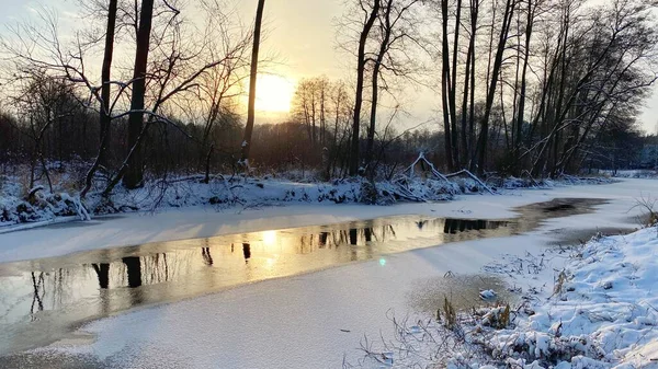Zimowy Kurjobraz Rzeka Czuciowo Zamarznita Pola Lasy Okolicach Wlodawy Pokrytej 스톡 사진