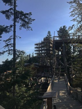 Krynica Zdrj, Küçük Polonya Voyvoda, Polonya-14 Eylül 2020. Sotwiny Arena kayak istasyonunun tepesindeki ağaç tepelerinde bir yıl gözcü kulesi