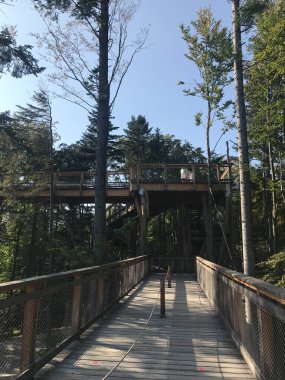 Krynica Zdrj, Küçük Polonya Voyvoda, Polonya-14 Eylül 2020. Sotwiny Arena kayak istasyonunun tepesindeki ağaç tepelerinde bir yıl gözcü kulesi