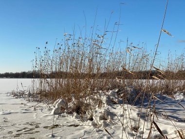 Wodawa Polonya yakınlarında karla kaplı kil dil güneşli mavi gökyüzüne hücum ediyor