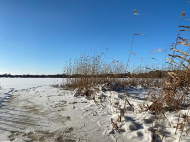 Wodawa Polonya yakınlarında karla kaplı kil dil güneşli mavi gökyüzüne hücum ediyor