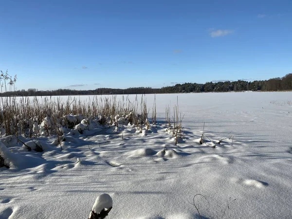 Wodawa Polonya yakınlarında karla kaplı kil dil güneşli mavi gökyüzüne hücum ediyor