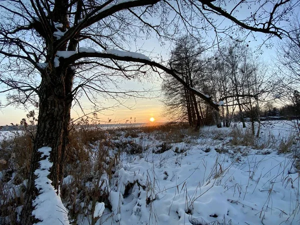 Vue Sur Lac Biae Gelé Près Wodawa Avec Une Grande — Photo