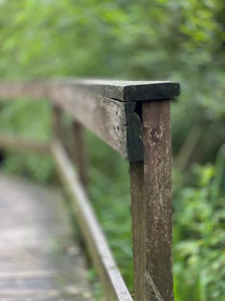 Wooden Footbridge Park Passes Swamp Forest Mixed Wildlife Vicinity Wlodawa — Stock Photo, Image