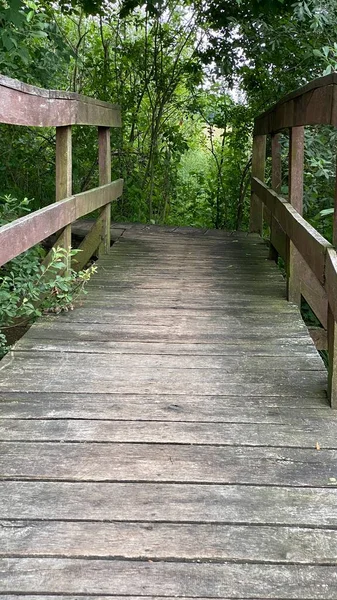 Passarela Madeira Parque Passa Pela Floresta Pântano Misturado Vida Selvagem — Fotografia de Stock