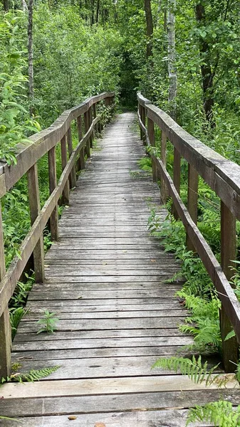 Ξύλινη Πεζογέφυρα Στο Πάρκο Περνά Μέσα Από Δάσος Βάλτο Μικτή — Φωτογραφία Αρχείου