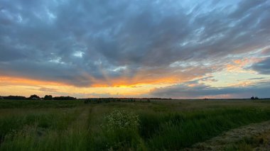Batı fili yeşil tarlaları. Yaz turuncu güneş. Wlodawa yakınlarında mavi bulutlar.