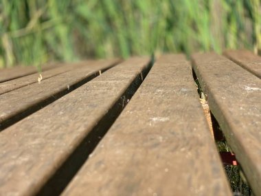 Tahtalardan yapılmış bir köprü ve görünür bir kamış ve Wlodawa yakınlarındaki göl üzerinde mavi ahşap bir gökyüzü.