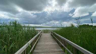 Tahtalardan yapılmış bir köprü ve görünür bir kamış ve Wlodawa yakınlarındaki göl üzerinde mavi ahşap bir gökyüzü.
