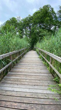Tahtalardan yapılmış bir köprü ve görünür bir kamış ve Wlodawa yakınlarındaki göl üzerinde mavi ahşap bir gökyüzü.