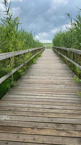 Most Prken Viditelného Rákosí Modrá Dřevěná Obloha Nad Jezerem Wlodawy — Stock fotografie