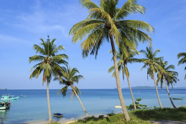 Palmiye ağaçları, tekne ve deniz — Stok fotoğraf