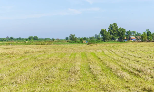 Campagna campestre — Foto Stock