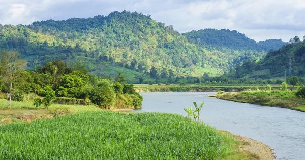 Río, campo de maíz y montaña —  Fotos de Stock