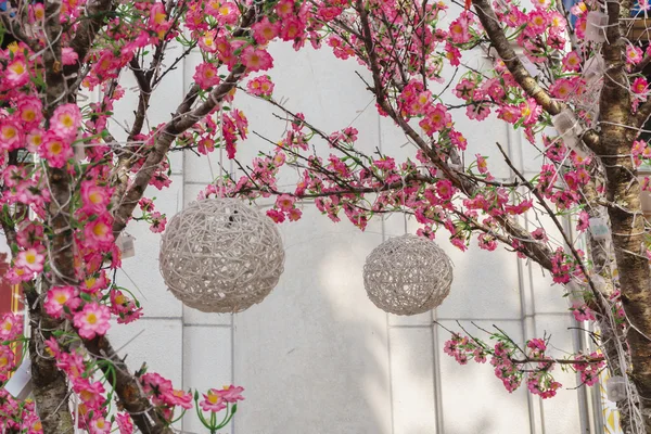 Lanterne e fiori di pesco — Foto Stock