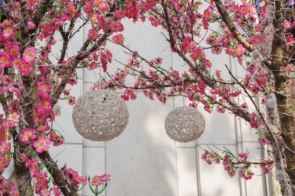 Lanterns and peach blossom