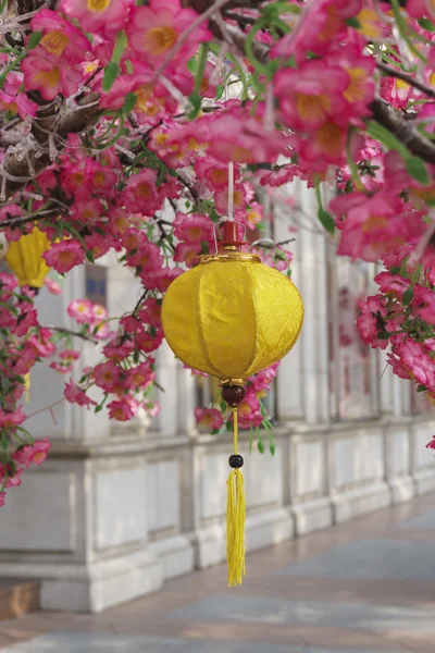 Linternas de primavera — Foto de Stock