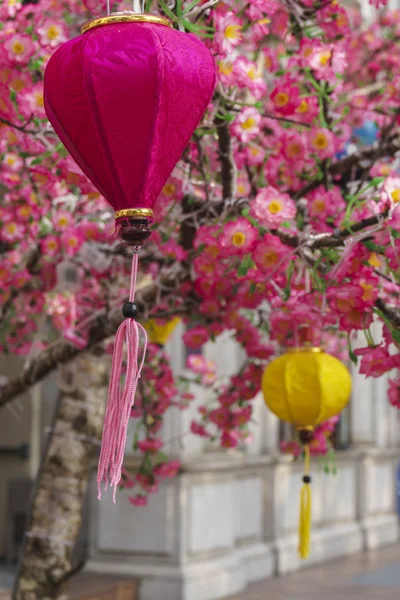 Linternas y flores rosas — Foto de Stock