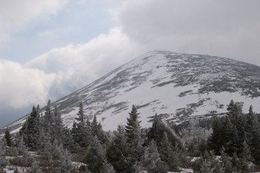 Misty Güney Urallar