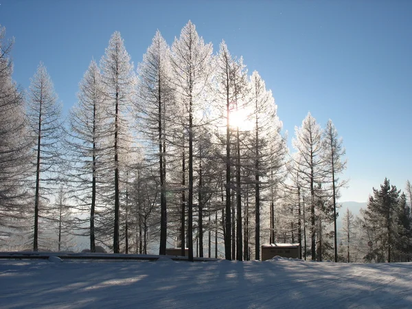 Winter Süd Urals, Urals — Stockfoto