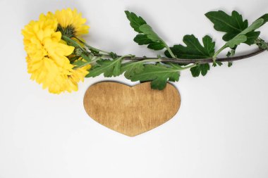 Hafif bir arka planda, sarı bir kasımpatı çiçeği dallı ahşap bir kalp. Neşeli arkaplan