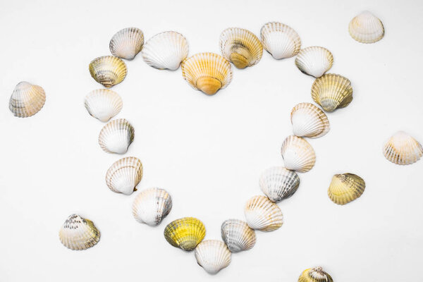 on a light background heart made of sea ribbed seashells
