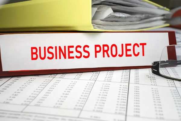 The business project is written on a red folder that lies on the document with numbers. Business and financial concept