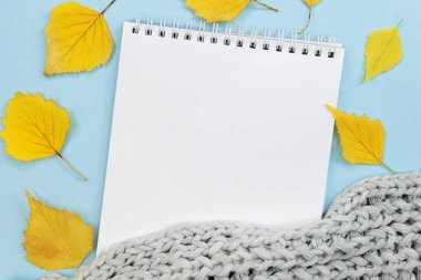 Sonbahar kompozisyonu. Sarı sonbahar yapraklarının yanında mavi arka planda beyaz boş bir sayfa ve örülmüş gri bir eşarp. Metin için boşluk