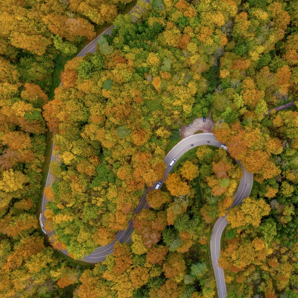 Outono de cima com um droneshot de uma curva dupla em uma floresta colorida e carros de condução, queda bonita, foto natureza emocional positiva. — Fotografia de Stock