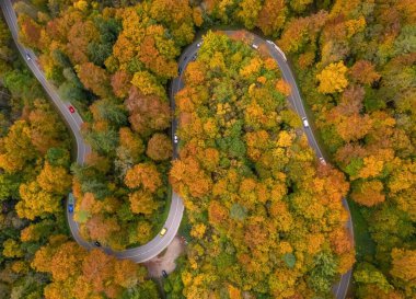 Wonderful drone shot from above at a colorful forest with many driving cars in autumn season, top shot straight from above with a double curve. Beautyful wallpaper image.