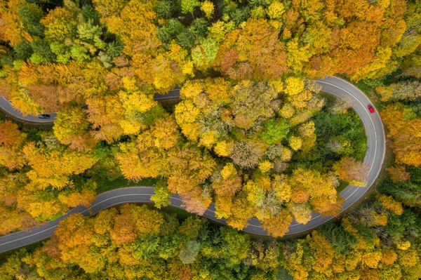 Fantastic autumn - colorful treetops with a significant red car driving through a double curve of a serpentine street at the fall. — Stock Photo, Image