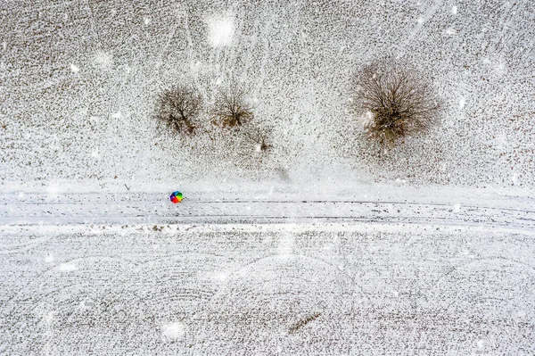 Z góry z góry na dół widok na kolorowy tęczowy parasol w środku pokrytego śniegiem krajobrazu przy opadach śniegu i kilka drzew prosto z góry. — Zdjęcie stockowe