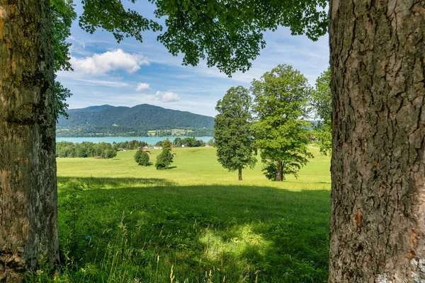 Güney Bavyera 'da ünlü bir turizm merkezi olan turkuaz renkli Tegernsee' de çerçevelenmiş manzara, dinlenme zamanı.. — Stok fotoğraf