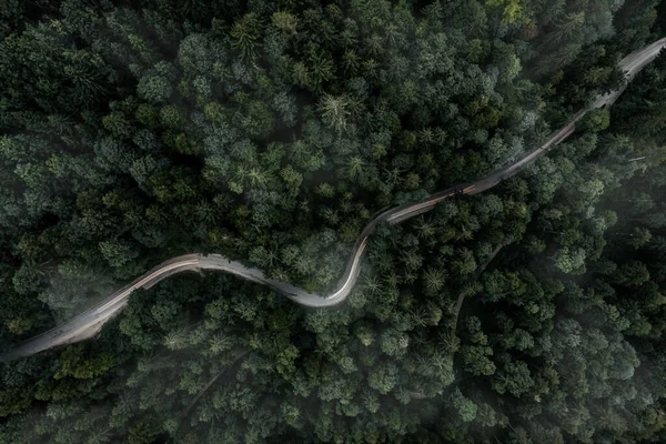 Winding curvy road inside a forest from a top down view of a drone at a foggy evening with a car backlight. — Stock Photo, Image