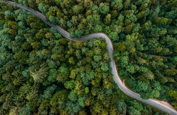 Uma estrada de dobra de cima que conduz através de uma floresta verde. Drone tiro para papéis de parede, de cima para baixo a partir de cima tiro aéreo no final do verão. — Fotografia de Stock