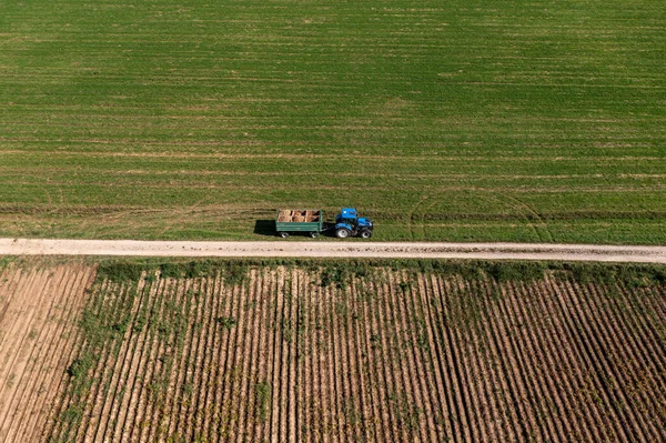 Vista aérea en un tractor de cosecha de patata, con un montón de papas apiladas. —  Fotos de Stock