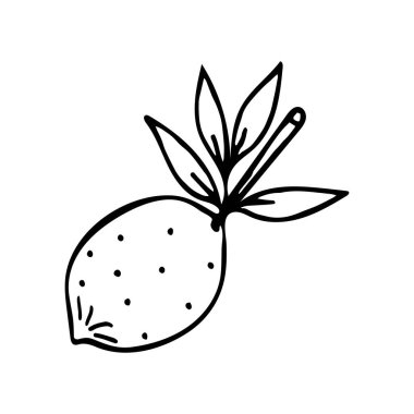 Dallı vektör limon ve karalama tarzında bırakır