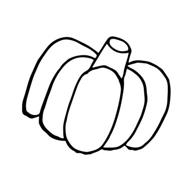  Karalama tarzında balkabağının vektör çizimi. Vektör illüstrasyonu