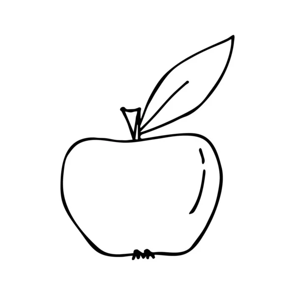 Pomme vectorielle avec feuille dans le style doodle — Image vectorielle