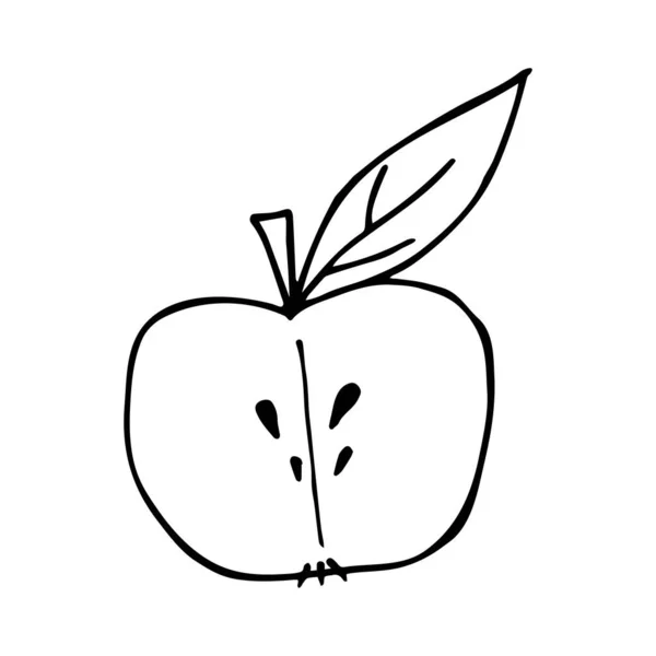 Vektor halber Apfel im Doodle-Stil — Stockvektor