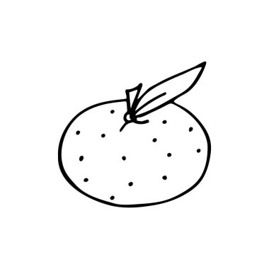  Mandarin 'in karalama tarzında vektör illüstrasyonuName