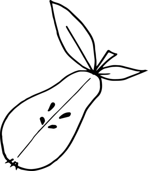 Vektorillustration einer halben Birne mit Blättern im Doodle-Stil — Stockvektor