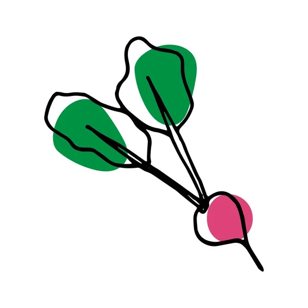 Διανυσματική απεικόνιση του ραπανάκι σε στυλ doodle — Διανυσματικό Αρχείο