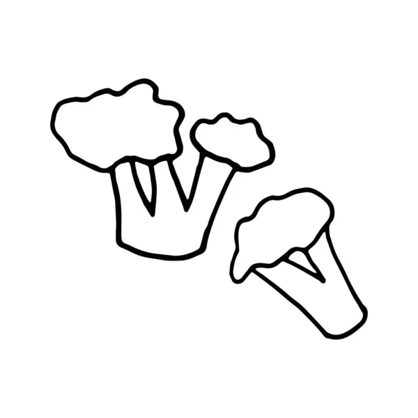 Vector illustration of broccoli and cauliflower in doodle style — Vetor de Stock