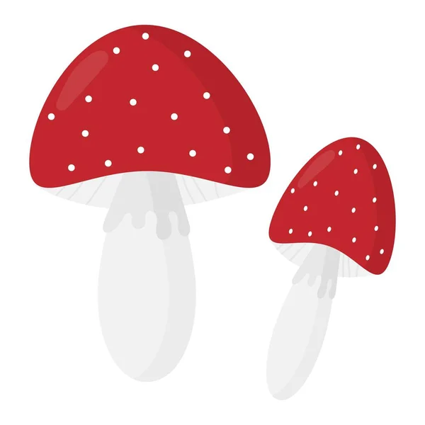 Vector illustration of fly agarics in flat style — Stock Vector