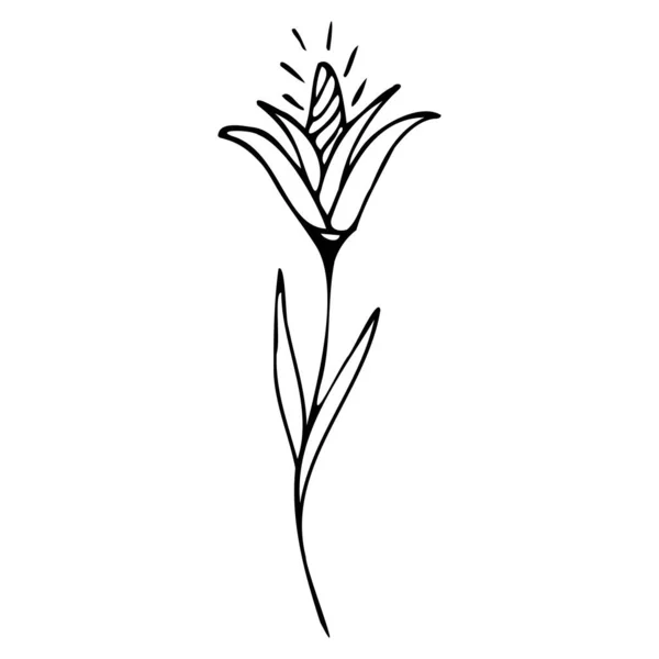 Illustration vectorielle d'une fleur en style doodle — Image vectorielle