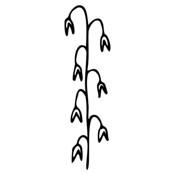 Ilustração vetorial de uma flor em estilo doodle — Vetor de Stock
