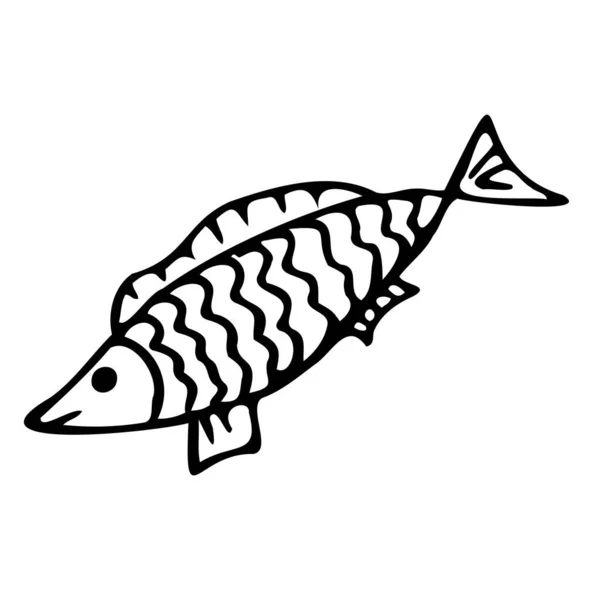 Vector illustration of fish in doodle style — Stock Vector